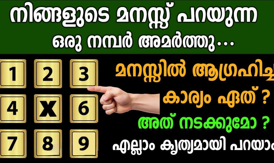 മനസ്സ് പറയുന്ന ഒരു സംഖ്യ തൊടു മനസ്സിലുള്ള കാര്യം നടക്കുമോ എന്ന് കൃത്യമായി പറയാം