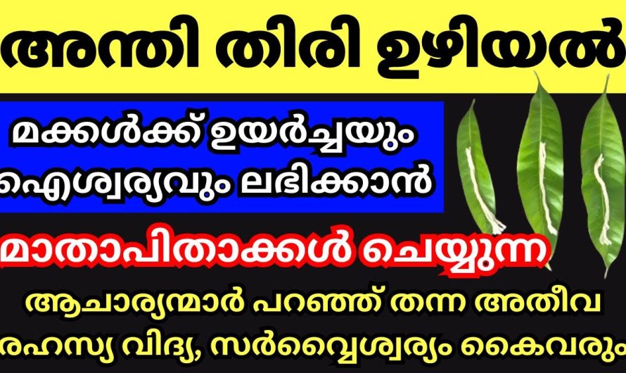 കുടുംബനാഥമാർ വീടിന്റെ ഐശ്വര്യത്തിനായി ചെയ്യേണ്ട പ്രധാന കാര്യം, കുടുംബിനികൾ അറിഞ്ഞിരിക്കണം