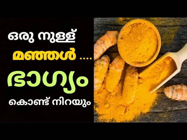 വീട്ടിൽ മഞ്ഞൾ ഇങ്ങനെയൊക്കെ ചെയ്താൽ പണം താനെ വരും