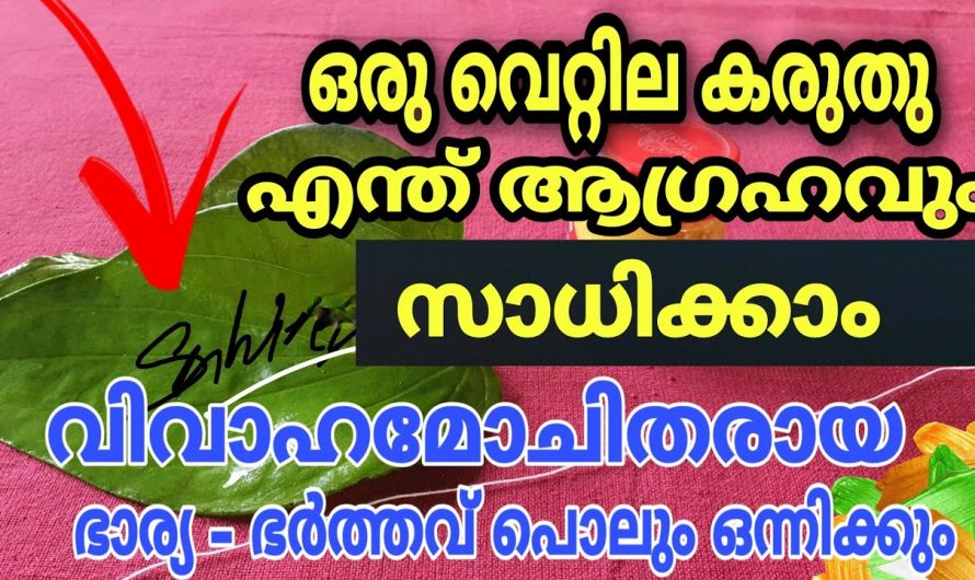 വെറും 2 വെറ്റിലയിൽ പിണക്കം മാറി 21 ദിവസത്തിനുള്ളിൽ വീണ്ടും ഒന്നിക്കും വിവാഹമോചിതരായവർ വരെ