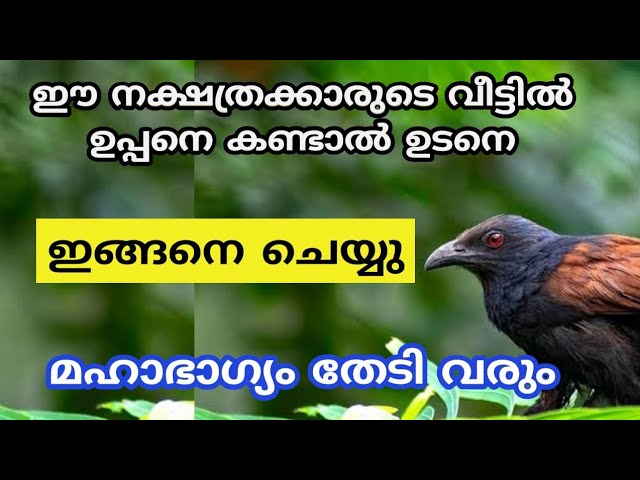 ഈ നക്ഷത്രക്കാരുടെ ഉപ്പൻ വരുന്നത് വെറുതെയല്ല ഉടനെ ഇത് സംഭവിക്കും