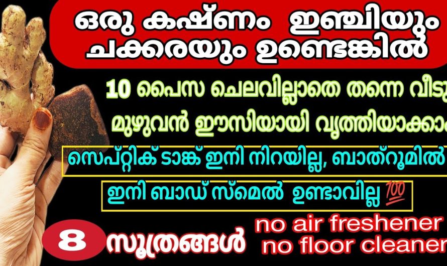 വീട്ടിൽ ഇവ രണ്ടും ഉണ്ടായിട്ടും ഈ സൂത്രം അറിഞ്ഞില്ലല്ലോ