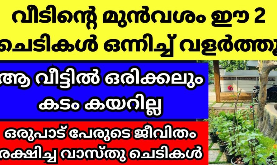 ഈ ചെടികൾ ഒന്നിച്ച് വീടിന് മുന്നിൽ വളർത്തിയാൽ കടം കയറില്ല, അത്ഭുത വാസ്തു ചെടികൾ