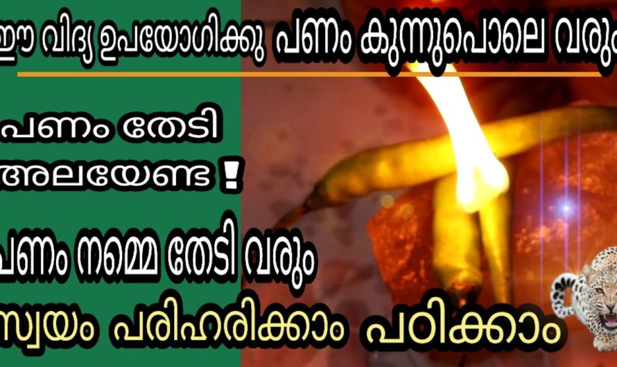 ഈ വിദ്യ പ്രയോഗിക്കു സ്വയം പരിഹരിക്കാം എന്തും