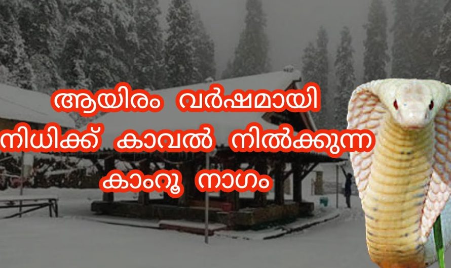 പാണ്ഡവരുടെ ആഭരണം പോലും ഈ ക്ഷേത്രത്തിൽ ഉണ്ട്