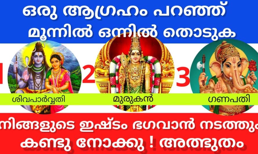 ഒരു ആവശ്യം മനസ്സിൽ വിചാരിച്ച മൂന്നിൽ ഒന്നിൽ തൊടു ! ഒരു രഹസ്യമുണ്ട് അറിയാം