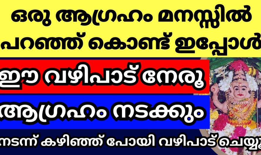 ഒരു ആഗ്രഹം പറഞ്ഞ് ഈ വഴിപാട്‌ മനസ്സിൽ നേരൂ,നടന്ന് കഴിഞ്ഞ് പോയി വഴിപാട്‌ ചെയ്യൂ, ഭഗവാൻ കാണിച്ച് തന്നത്