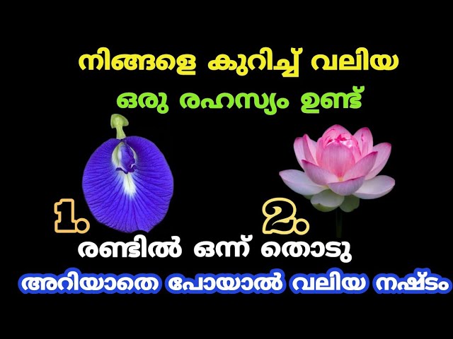 നിങ്ങളെ കുറിച്ച് വലിയ ഒരു രഹസ്യം പറയാം രണ്ടിൽ ഒന്ന് തൊടു.