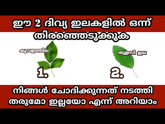 നിങ്ങൾ ചോദിക്കുന്നത് നടത്തി തരുമോ ഇല്ലയോ എന്ന് അറിയാം