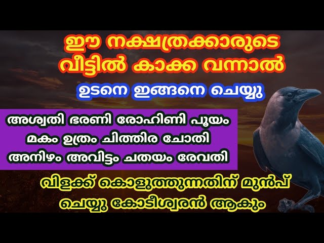 ശനി ദേവൻ ഇവരുടെ ജീവിതം റോക്കറ്റ് പോലെ കുതിച്ച് ഉയർത്തും