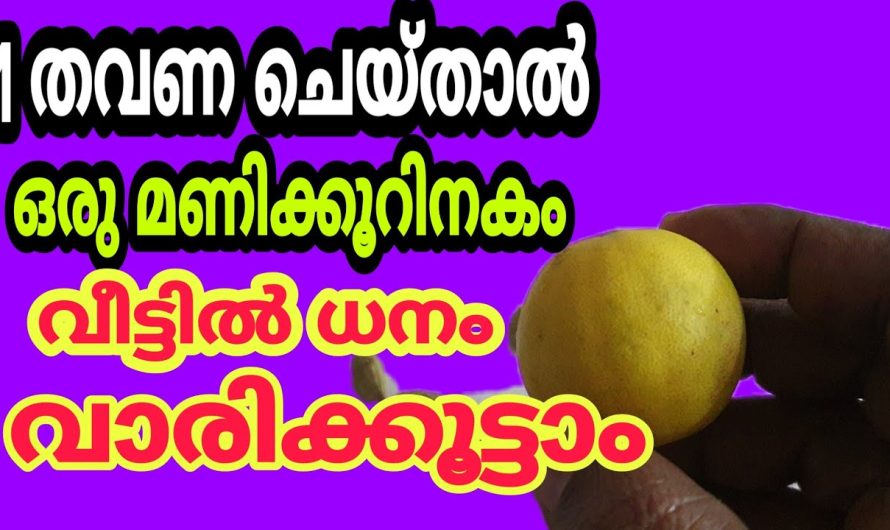 ഇത് ചെയ്ത് ഒരു മണിക്കൂറില്‍ വീട്ടിൽ ദുർശക്തി പുറത്താകും ധനം കുതിച്ചു കയറും