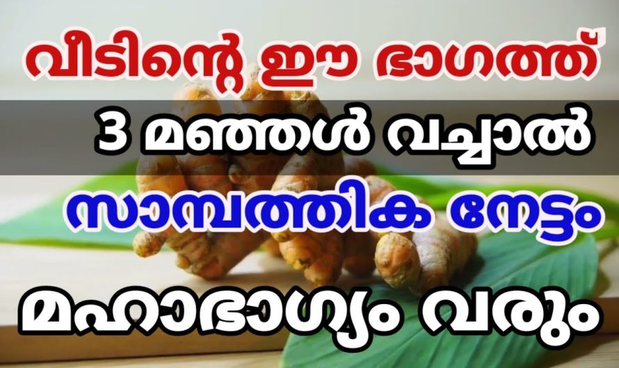 വീടിന്റെ ഈ ഭാഗത്ത് 3 മഞ്ഞൾ നട്ടാൽ സാമ്പത്തികനേട്ടം