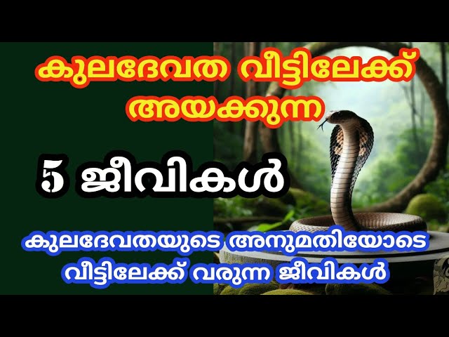 കുല ദേവത വീട്ടിലേക്ക് അയക്കുന്നത് വെറുതെയല്ല ഈ കാര്യം ചെയ്യണം