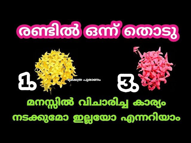 മനസ്സിലെ ആഗ്രഹം നടക്കുമോ ഇല്ലയോ രണ്ടിൽ ഒന്ന് തൊടു