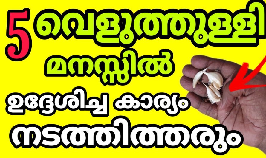 5 വെളുത്തുള്ളി കരുതിയാൽ ആഗ്രഹിക്കാതെ പൊയഏത് ആഗ്രഹവും സാധിക്കും :ഫലം ഉറപ്പ്