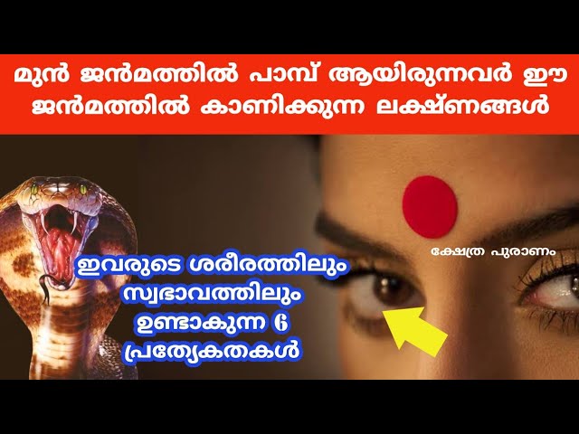 മുൻ ജൻമത്തിൽ പാമ്പ് ആയിരുന്നവർ ഈ ജൻമത്തിൽ കാണിക്കുന്ന ലക്ഷ്ണങ്ങൾ.