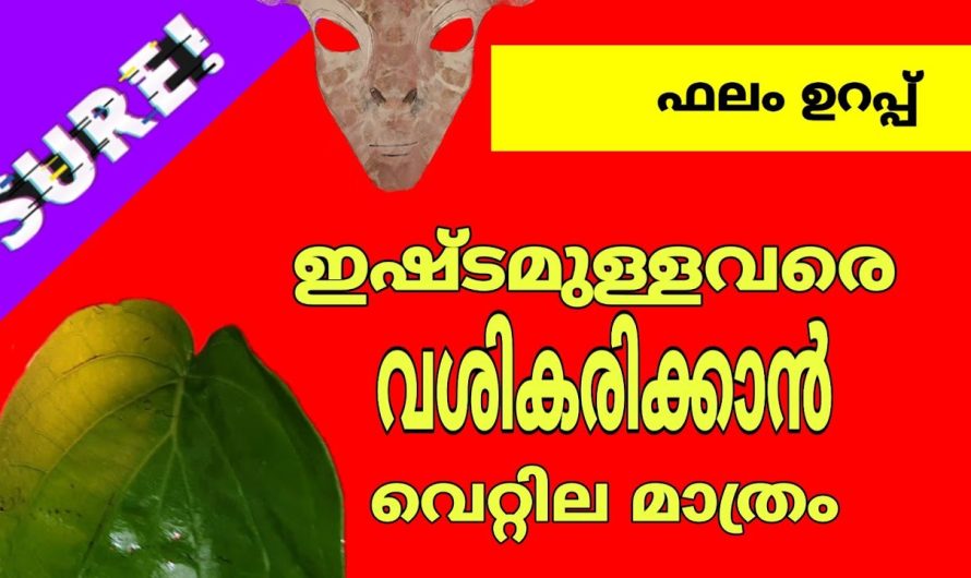 ഇഷ്ടമുള്ളവരെ വശീകരിക്കാൻ വെറ്റില മാത്രം മതി 100 % ഉറപ്പ്