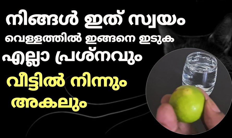 നിങ്ങൾ സ്വയം ഒരു ഗ്ലാസ് വെള്ളത്തിൽ ഇടുക! എല്ലാ പ്രശ്‌നങ്ങളും വീട്ടിൽ നിന്ന് മാറും