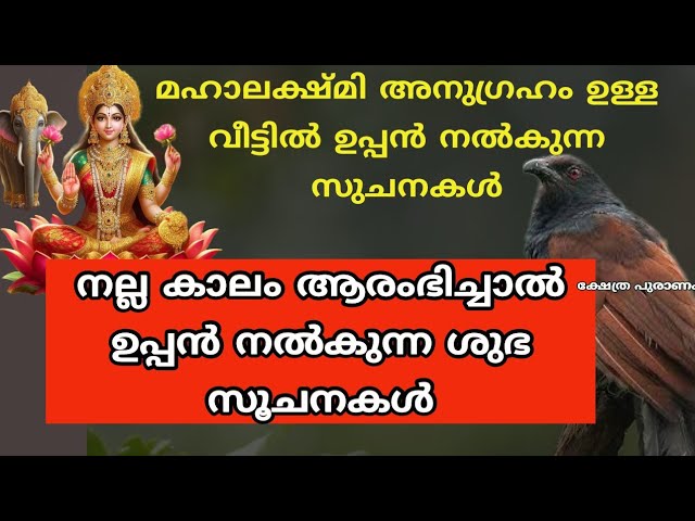 മഹാലക്ഷ്മി പടി കടന്ന് വീട്ടിൽ പ്രവേശിച്ചാൽ ഉപ്പൻ നൽകുന്ന ലക്ഷ്ണങ്ങൾ