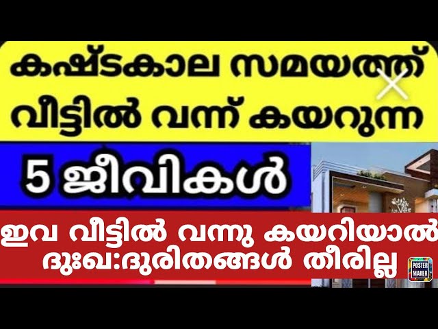 ഈ പക്ഷിമൃഗാദികൾ വീട്ടിൽവന്നു കയറുന്നത് ദുരിത സമയത്ത്, ശ്രദ്ധിക്കണം