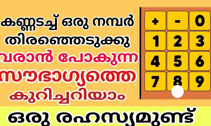 നമ്പർ പറയും വരാൻ പോകുന്ന സൗഭാഗ്യങ്ങൾ നിങ്ങളുടെ ഉയർച്ച എപ്പോൾ?