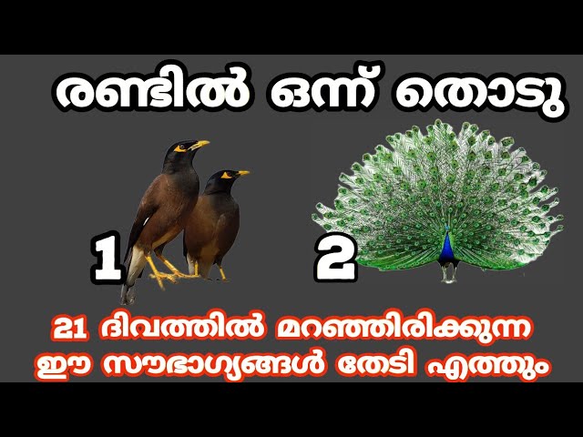 21 ദിവസത്തിൽ മറഞ്ഞിരിക്കുന്ന ഈ ഈ സൗഭാഗ്യം തേടി എത്തും.