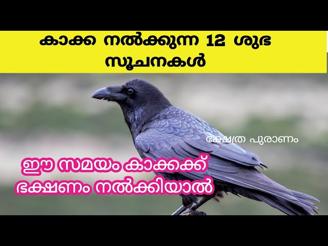 അറിഞ്ഞ് പ്രവർത്തിച്ചാൽ ഈ 12 സൂചനകൾ സമ്പത്ത് നേടി തരും.