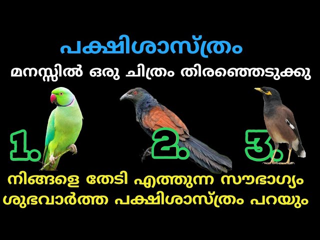 നിങ്ങളെ തേടി എത്തുന്ന സൗഭാഗ്യം ശുഭവാർത്ത പക്ഷിശാസ്ത്രം പറയും