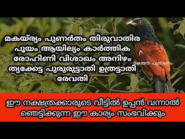 .അന്ന് ഈ ഒരു കാര്യം ചെയ്യാൻ മറക്കരുത് ഈ ഞെട്ടിക്കുന്ന കാര്യം സംഭവിച്ചിരിക്കും.