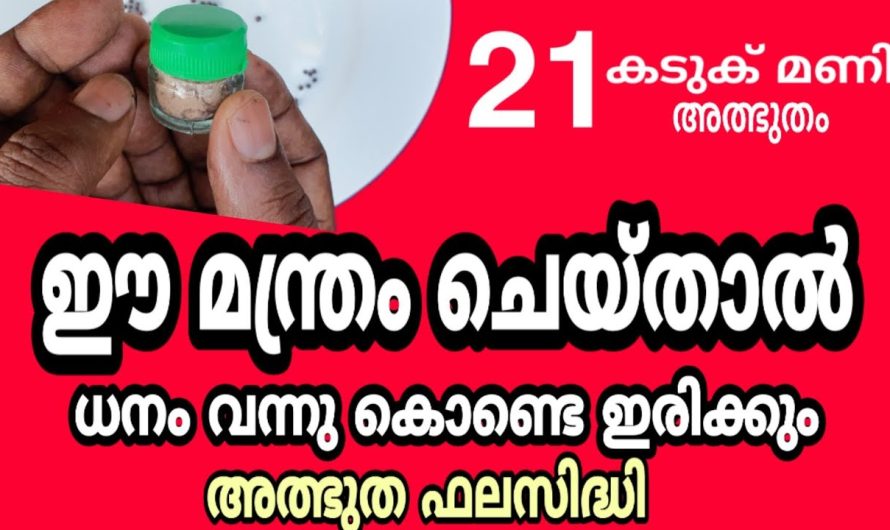 ഇങ്ങനെ ചെയ്യു ധനം ഇങ്ങോട്ട് വന്നു കൊണ്ടേ ഇരിക്കും ദിവസങ്ങൾക്കുള്ളിൽ