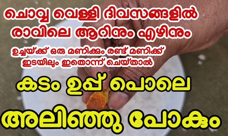 ചൊവ്വാഴ്ച നിങ്ങൾ ഇത് ചെയ്താൽ കടങ്ങൾ കൊണ്ടുള്ള പ്രശ്നം ഉപ്പ് പോലെ അലിഞ്ഞുപോകും