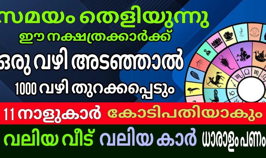 വിചാരിച്ച കാര്യം എന്തും സാധിക്കുന്ന നക്ഷത്രക്കാർ , ഇവരുടെ ജാതകത്തിൽകോടീശ്വര യോഗം : ശുക്രനടിക്കും