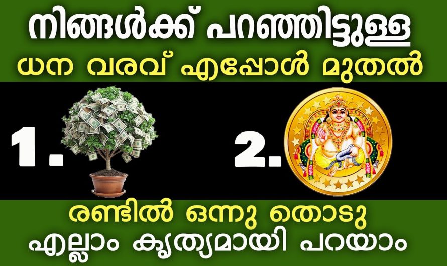 നിങ്ങൾക്ക് പണം വരാൻ സമയമായോ,തടസ്സം എന്താണ്? പരിഹാരം കൃത്യമായി പറയാം