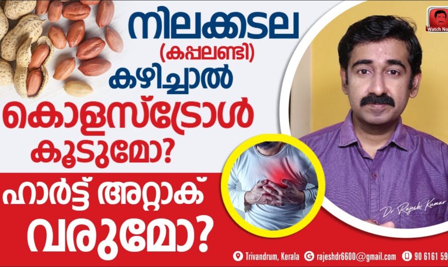 Does eating peanuts increase cholesterol? Let’s find out the truth!