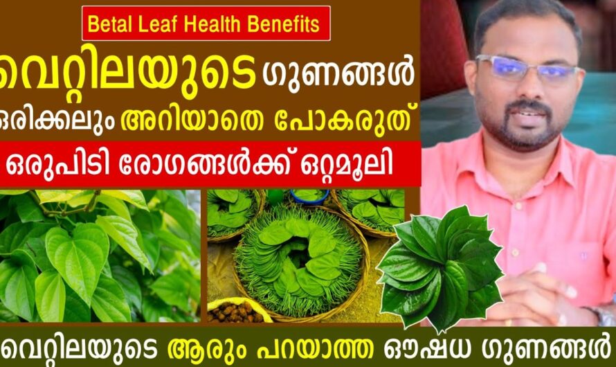 Betel is not just for tightening! 7 health benefits you didn’t know