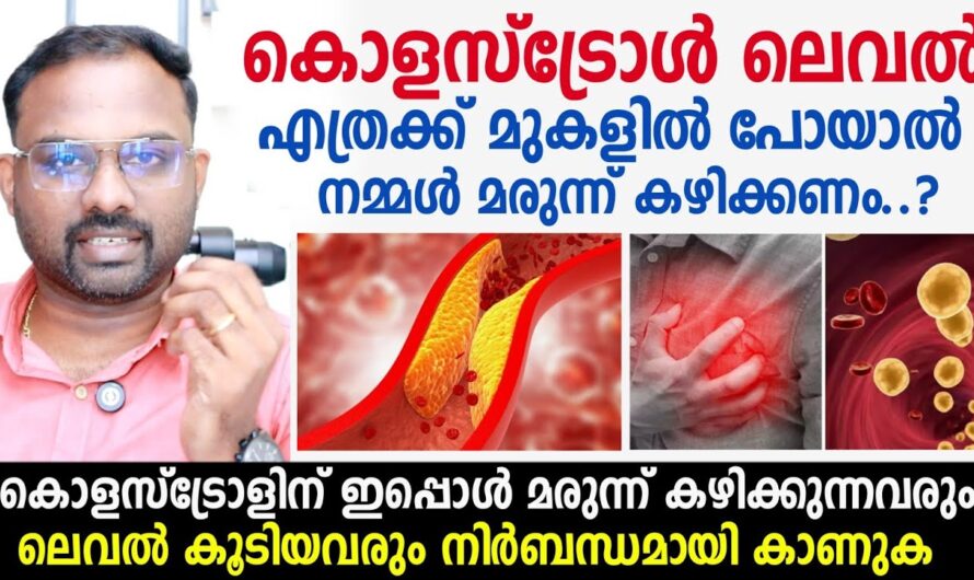 6 main factors that cause cholesterol to increase