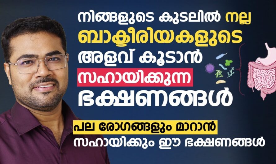 Eat these probiotic foods to protect the health of the gut!