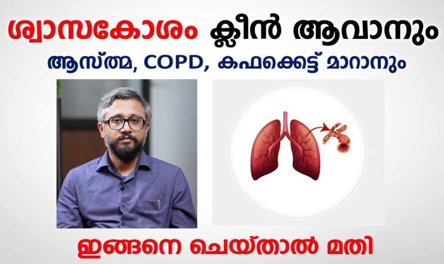 6 Natural Ways to Clean Your Lungs