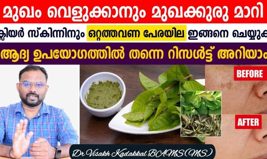 Guava leaves are enough! 4 ways to brighten your face and get rid of acne