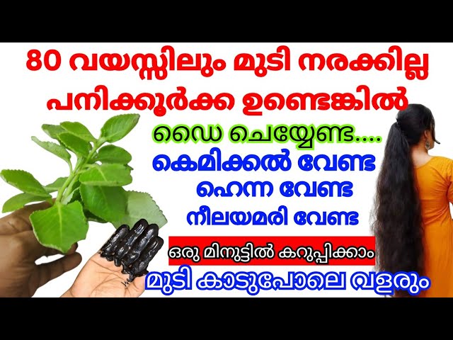 Premature graying won’t go away? 6 main reasons behind graying hair!