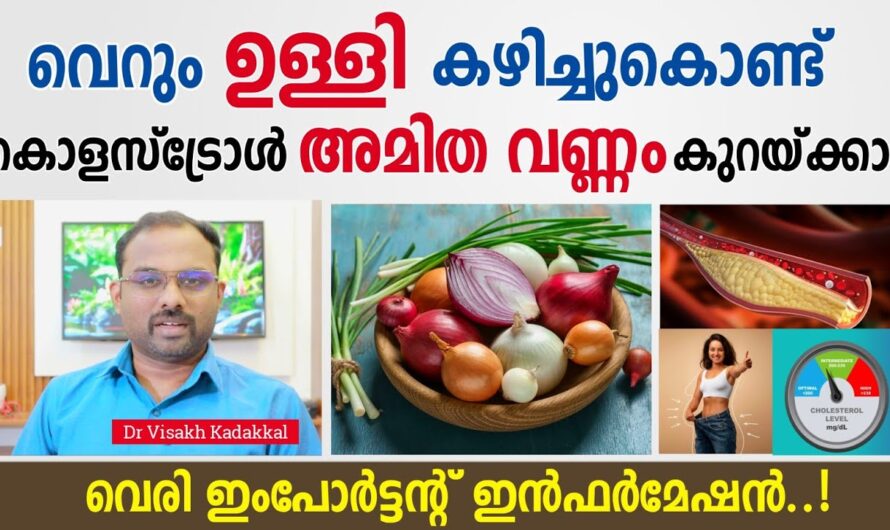 What causes high cholesterol? 6 things you need to know!