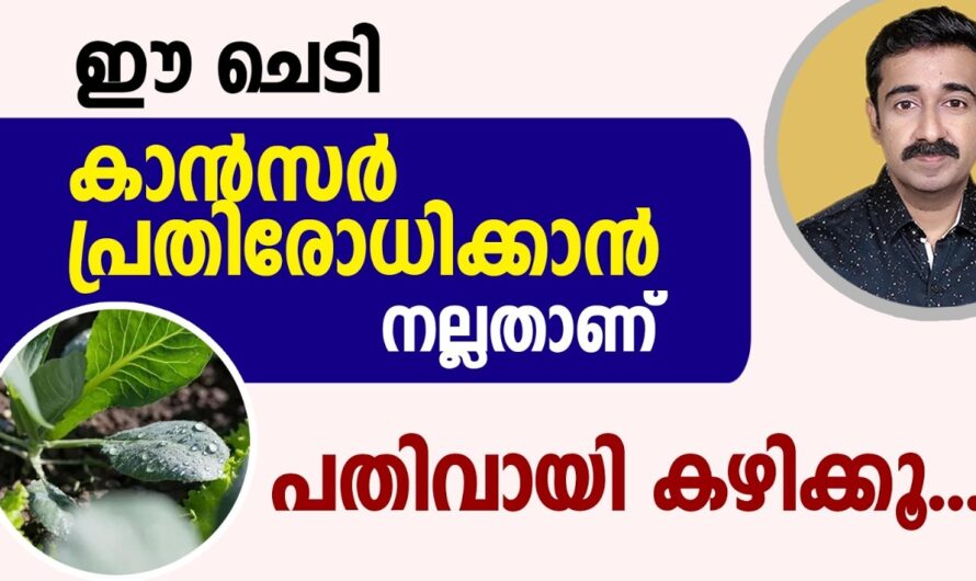 Why does cancer occur? The main reasons you should know!