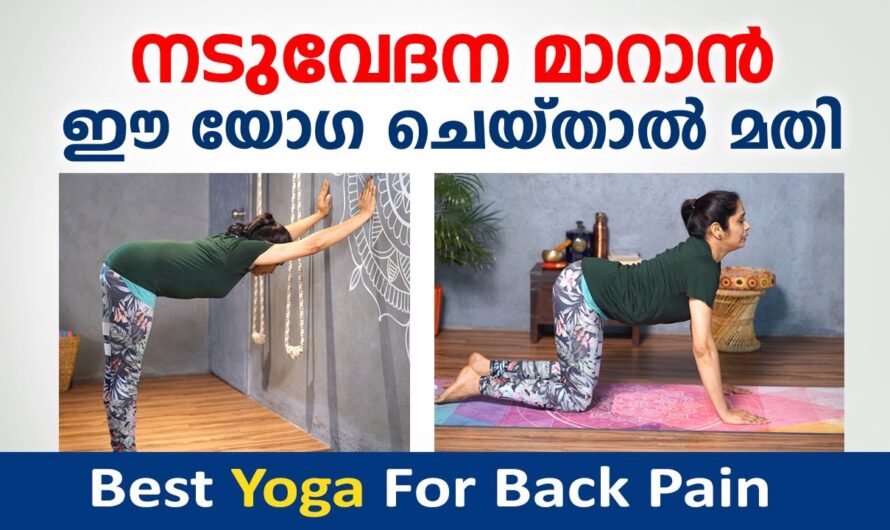 Back pain that won’t go away? 6 main reasons you should know!