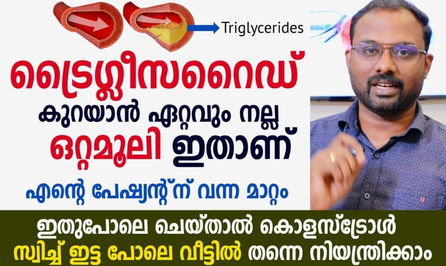 Why do triglycerides increase in the blood? You may know these 6 reasons!