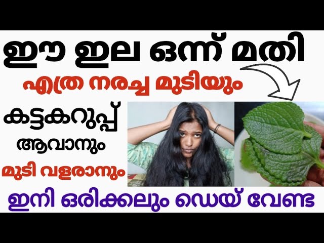 Why does hair turn gray? 6 main reasons you should know!