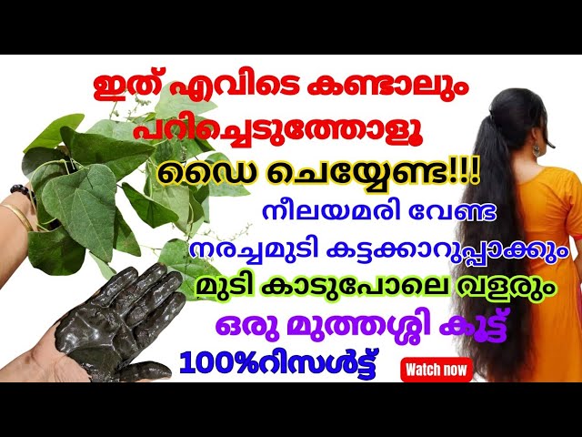 Want to grow hair like a forest? 5 ways to stop hair loss and grow hair lushly!