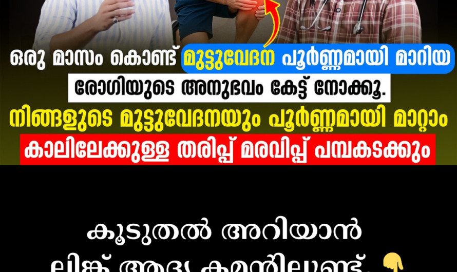 Knee pain can be completely cured; 5 things to keep in mind to protect your joints