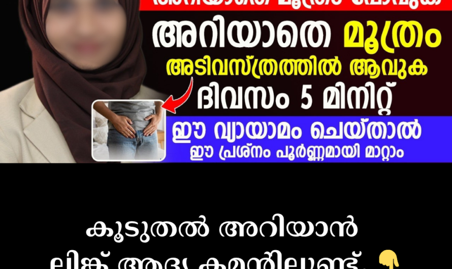 In the same vein as you requested, the article on the causes of stress incontinence is given below: