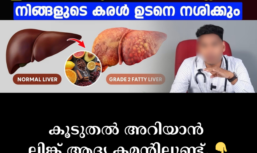 Is the body’s powerhouse weakening? 5 main things that cause liver damage