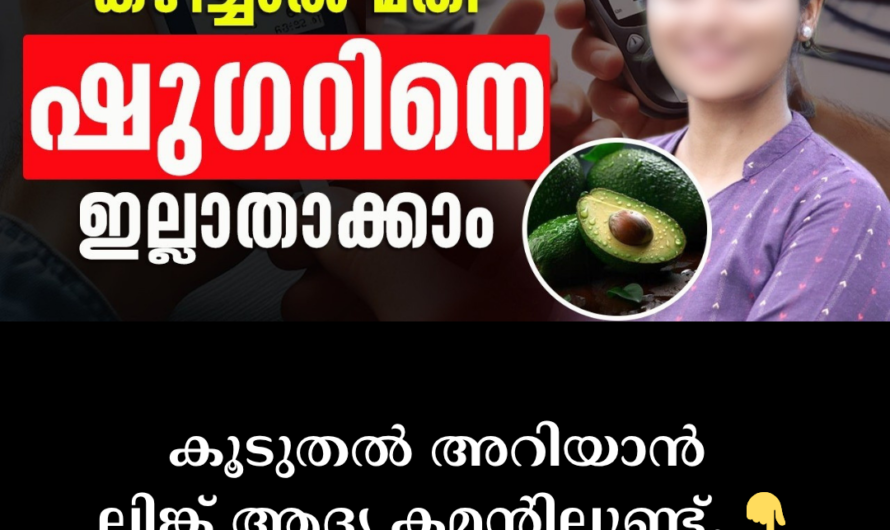 Can sugar be completely eliminated? 5 important things that help in controlling diabetes